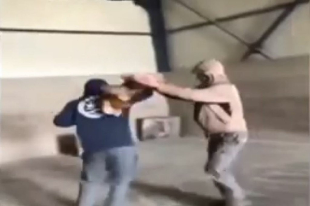 Σε “μπάλα” μετέτρεψαν μια κότα δυο άνδρες στην Εύβοια – Νέο περιστατικό κακοποίησης ζώου που σοκάρει (vid)