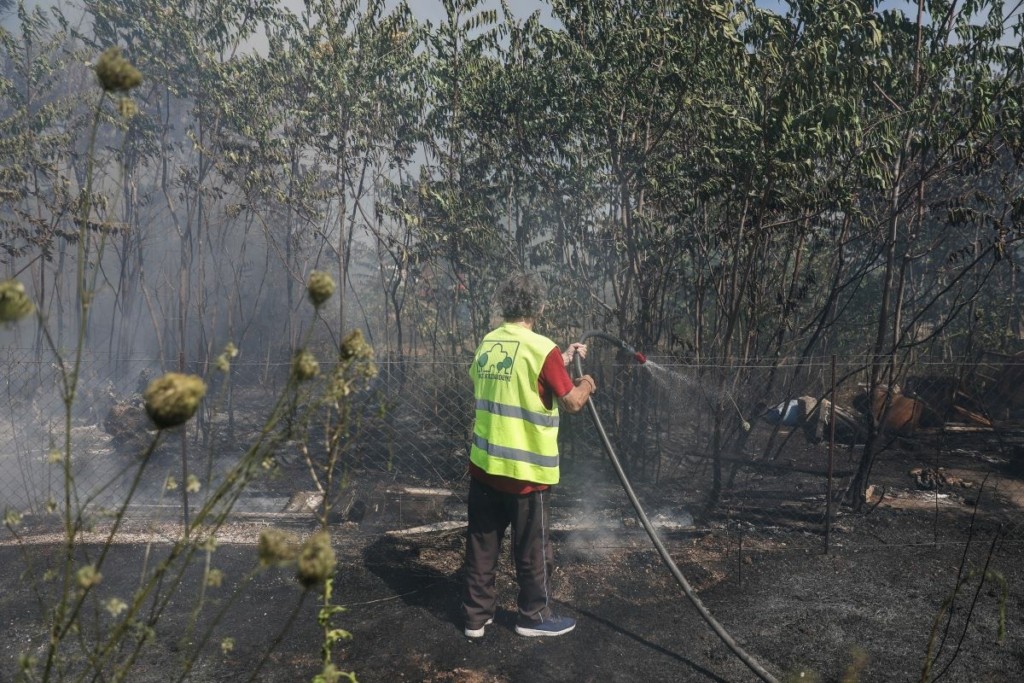 Συναγερμός στην Πεντέλη – Φωτιά σε οικόπεδο κοντά σε κολώνα της ΔΕΗ!