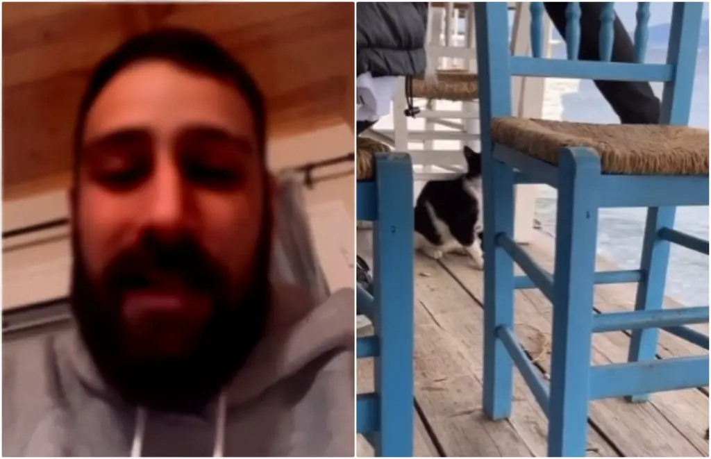 Ζητά και τα ρέστα ο νεαρός που κλώτσησε τη γάτα στην ψαροταβέρνα – “Σιγά που το σκοτώσαμε ρε μ@@@κα” (vid)