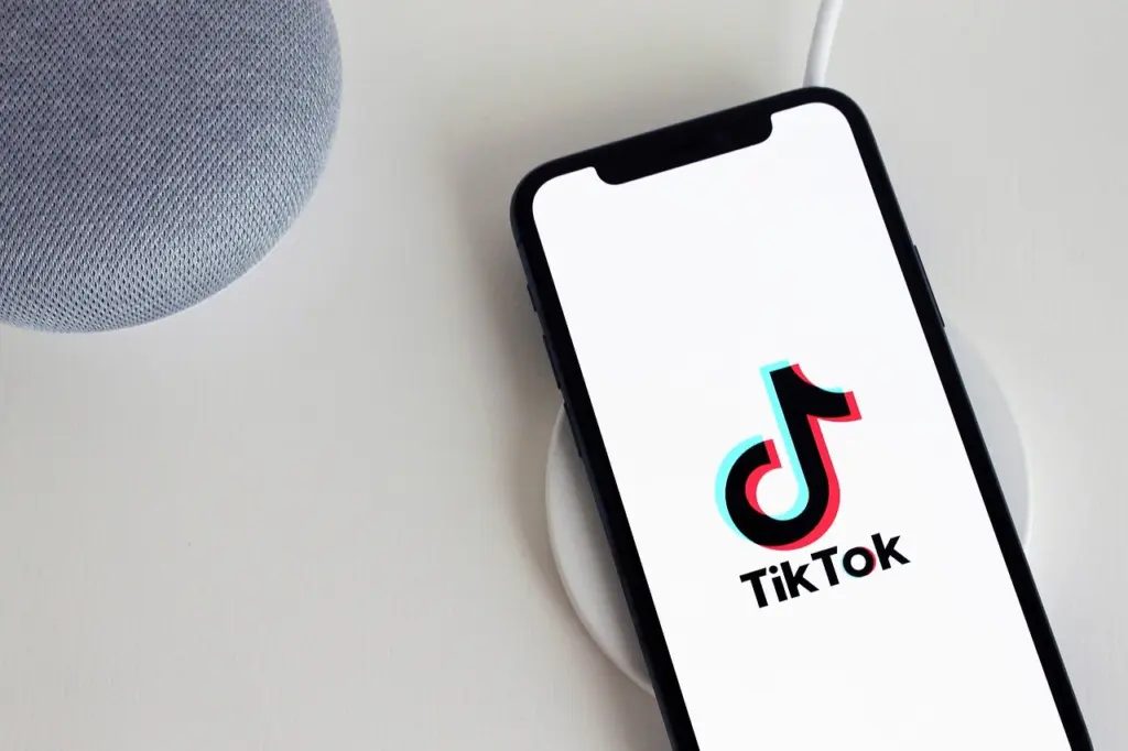 TikTok, η πλατφόρμα που λατρεύει η ευρωπαϊκή άκρα δεξιά