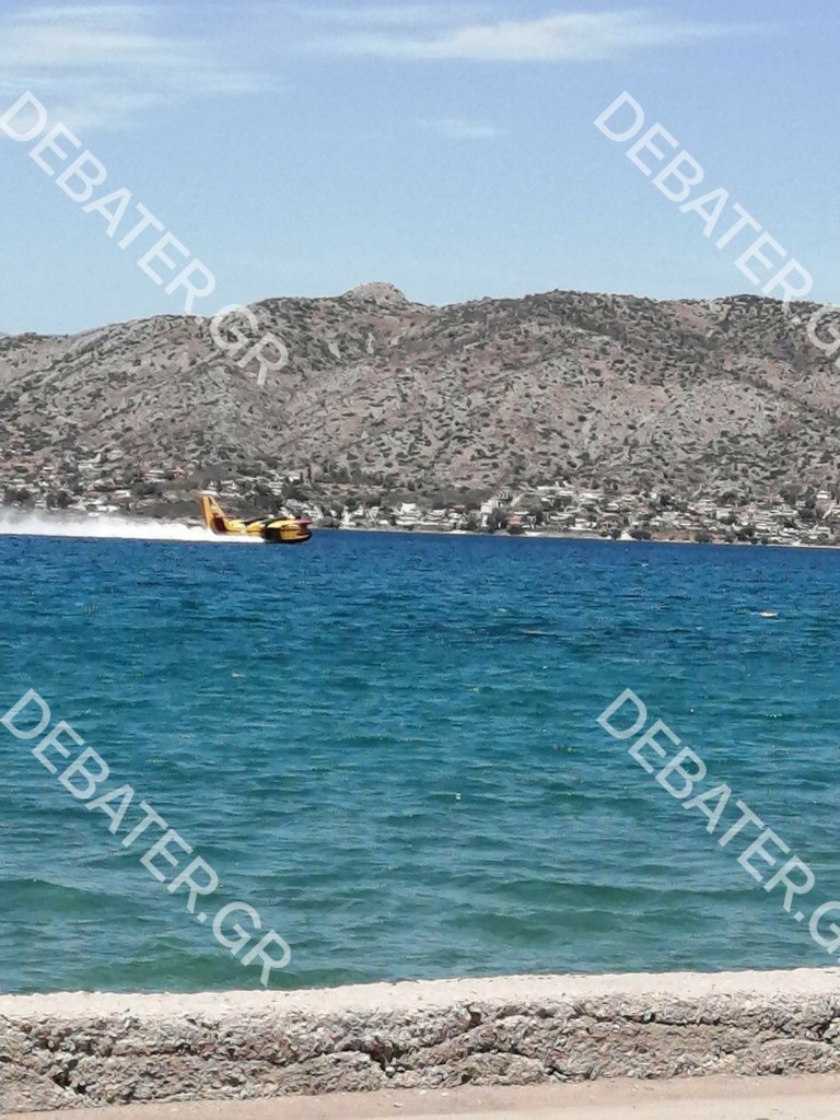 Υπό μερικό έλεγχο η φωτιά στη Σαλαμίνα – Επιχειρούν ισχυρές δυνάμεις της Πυροσβεστικής (vids)