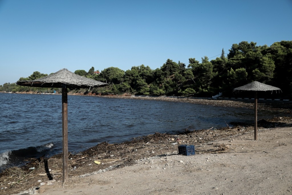 Τραγωδία στην Εύβοια – Νεκρή μια 66χρονη στο Πευκί (pic)
