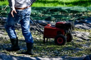 ΑΑΔΕ: Καταβλήθηκαν ενισχύσεις 28 εκατ. ευρώ σε 24.000 αγρότες – Εκτός πληρωμών 1.076 δικαιούχοι που ελέγχονται από τις Αρχές