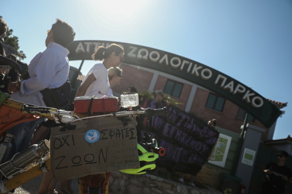 Ο Κούγιας ανέλαβε την υπόθεση θανάτωσης του χιμπατζή στο Αττικό Πάρκο – “Ποινικό αδίκημα”