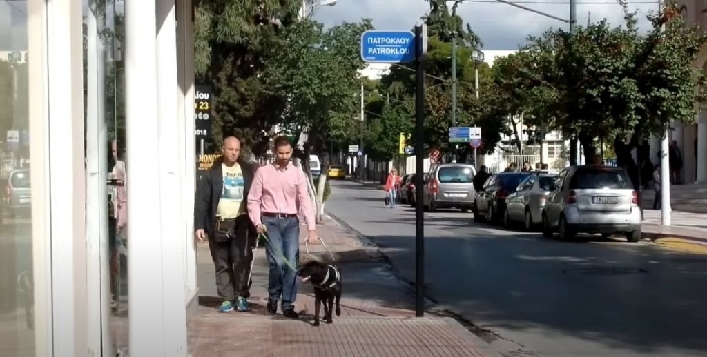 Ιστορική απόφαση στην Ελλάδα – Καταδικάστηκε οδηγός ταξί που αρνήθηκε να μεταφέρει γυναίκα με σκύλο-οδηγό