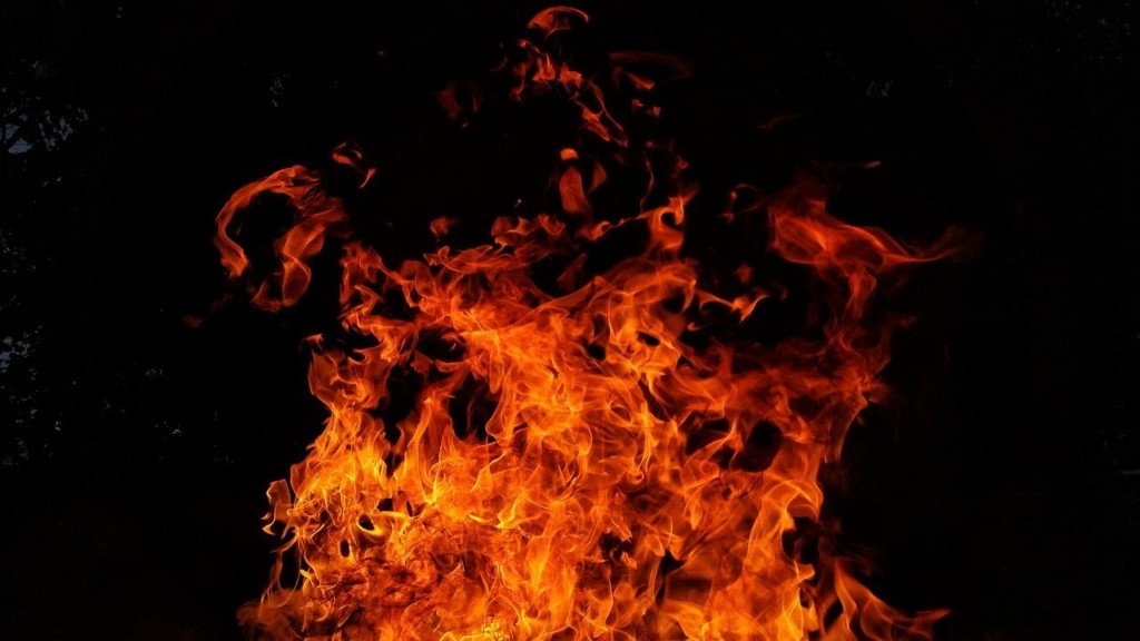 Πολλές φωτιές αρχίζουν από πουλιά που παθαίνουν ηλεκτροπληξία – “Πέφτουν σαν μολότοφ”