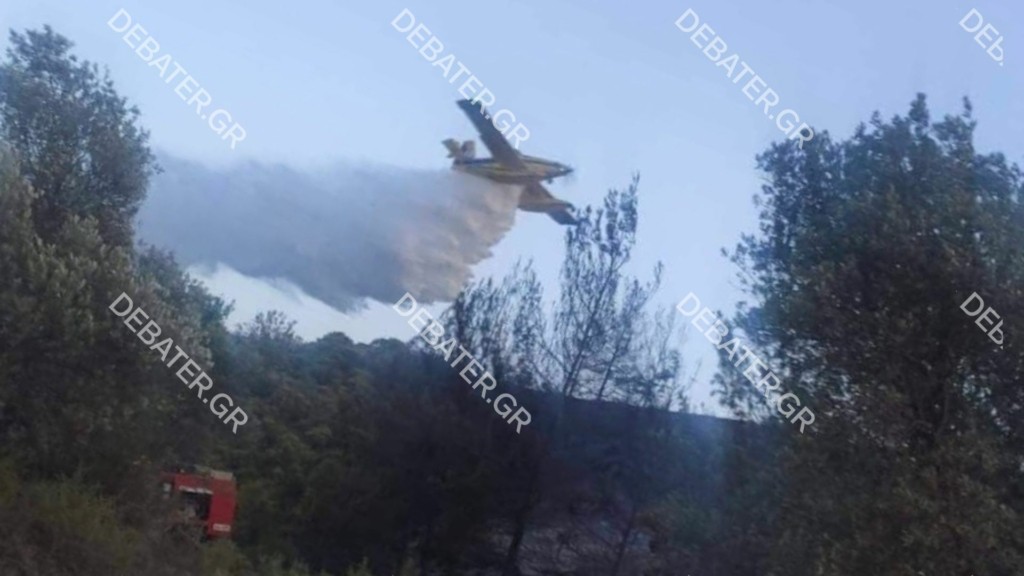 Φωτιά στο χωριό Πλατάνια στη Ρόδο – Επιχειρούν και εναέρια μέσα (pics)
