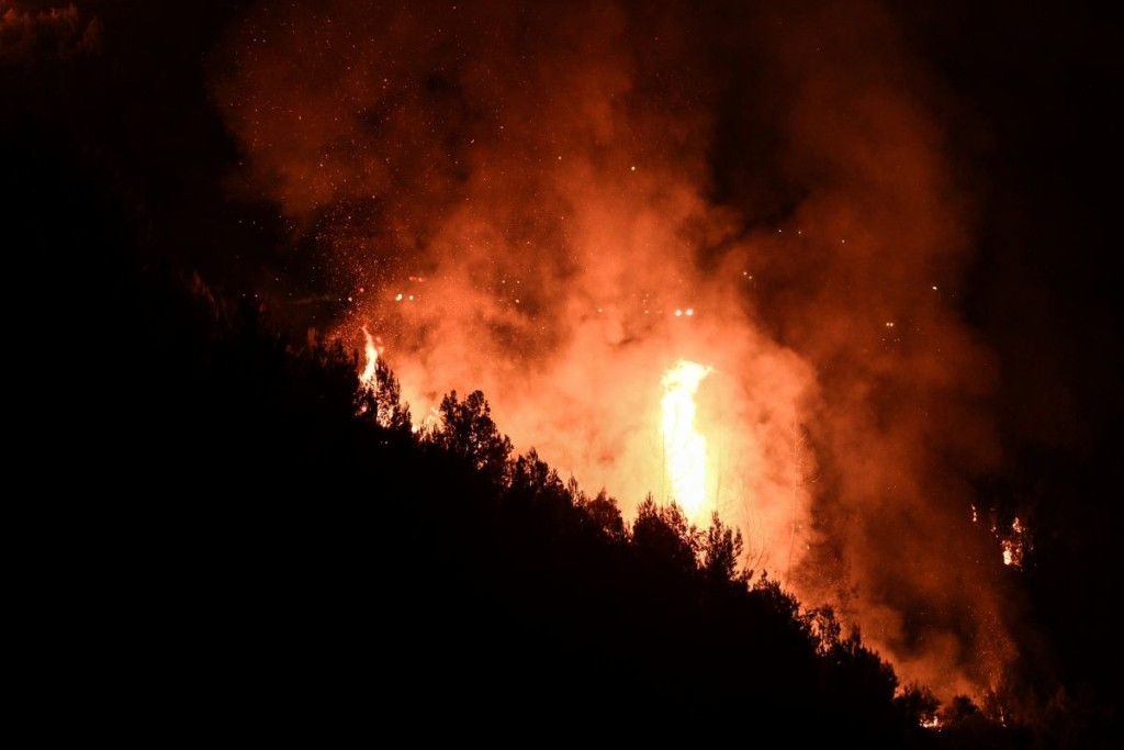 Φωτιά σε δασική έκταση στην Εύβοια – Πνέουν ισχυροί άνεμοι