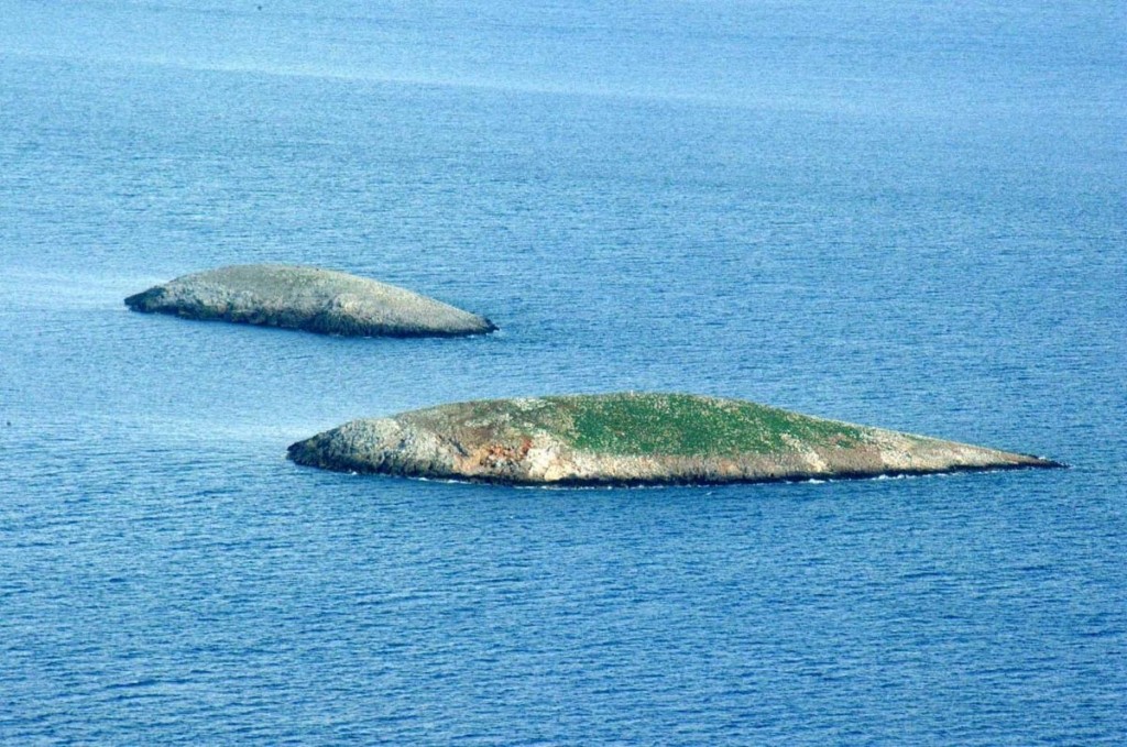 Αντιναύαρχος των Ιμίων “κατακεραυνώνει” τον Ερντογάν – “Μακάρι να κάνει την πρώτη κίνηση γιατί δεν έχει διανοηθεί τι θα του συμβεί” (vids)