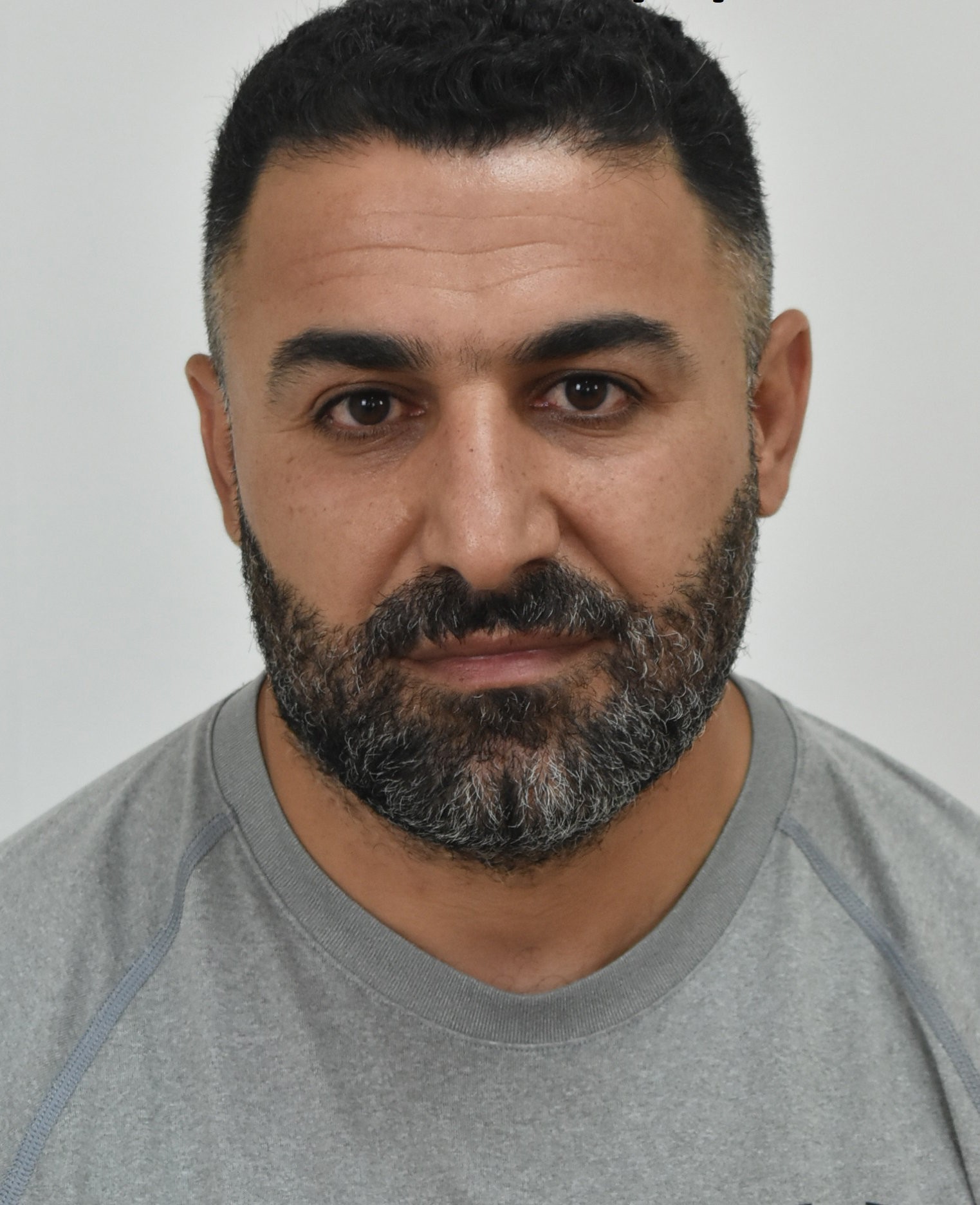 Εγκληματική Οργάνωση