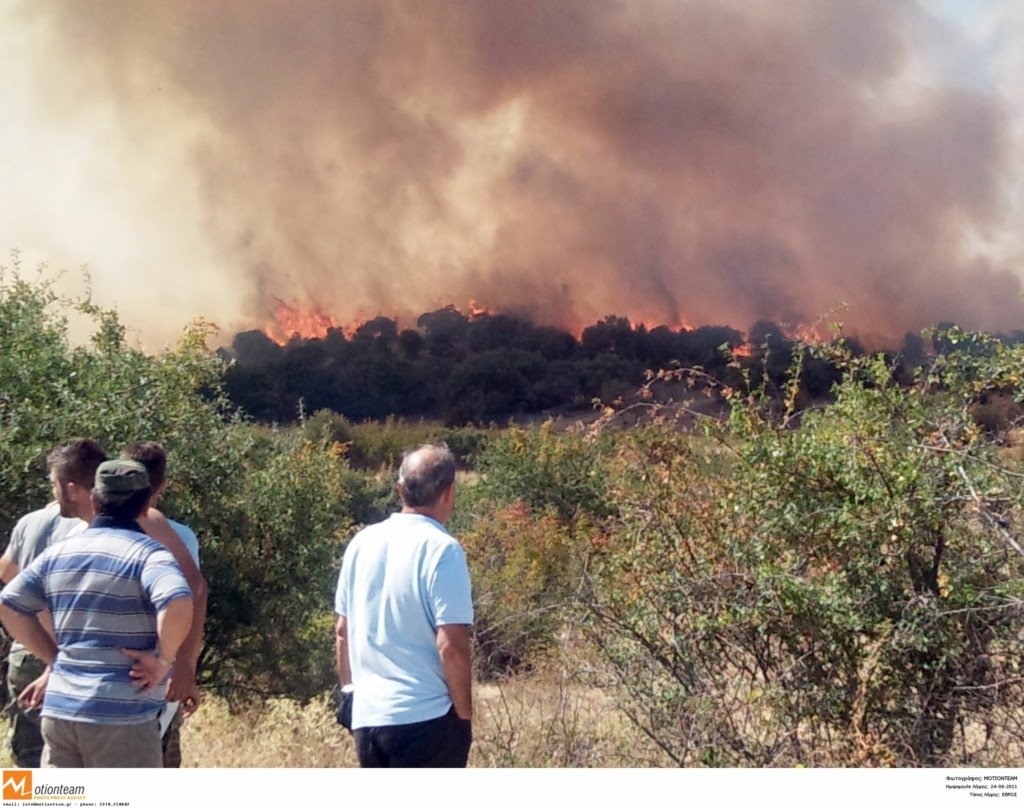 Μεγάλη μάχη για να σωθεί το δάσος της Δαδιάς στον Έβρο – Ξεκίνησαν να επιχειρούν τα εναέρια μέσα (vids)