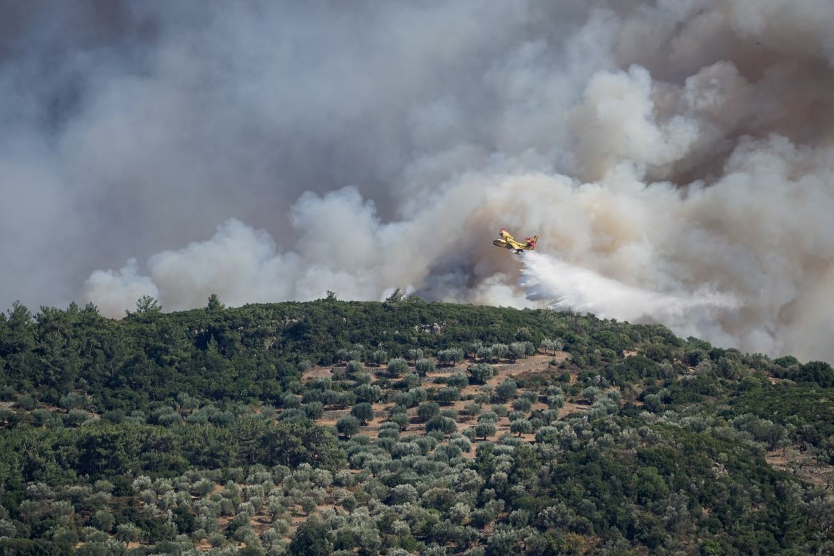 Υπό έλεγχο η φωτιά στον Ασπρόπυργο – Αποκαταστάθηκε η κυκλοφορία των οχημάτων