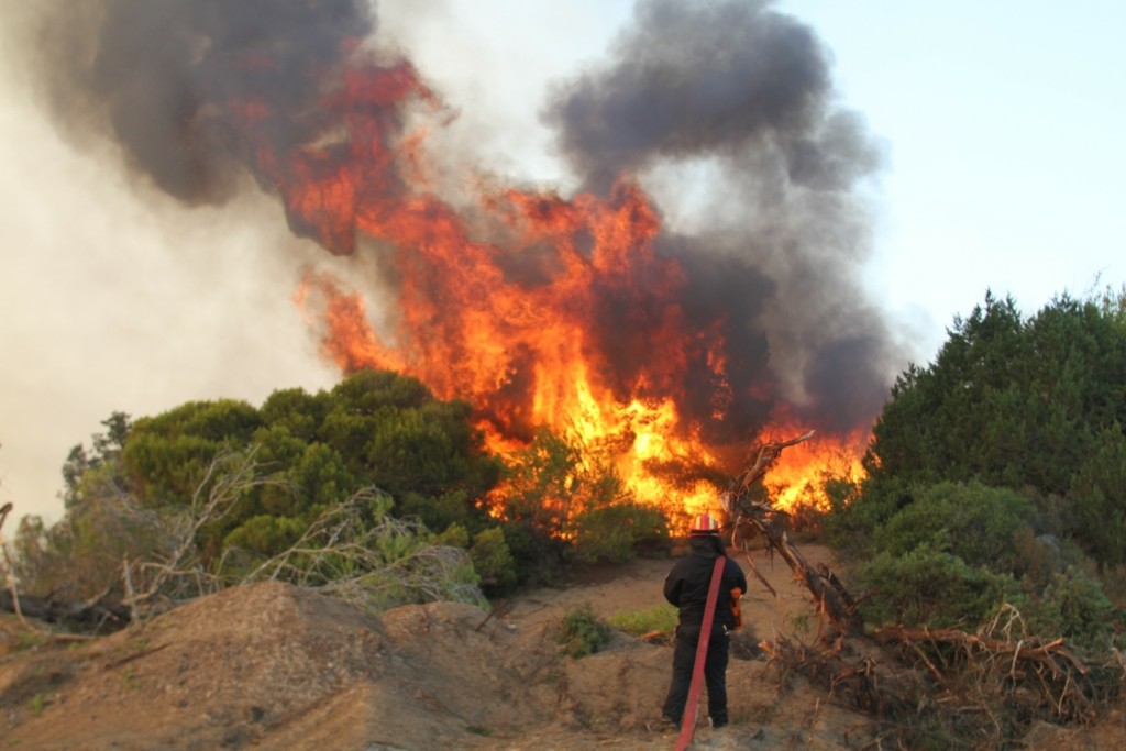 Καλύτερη εικόνα παρουσιάζει η φωτιά στην περιοχή Κορυφή στον Πύργο (vid)