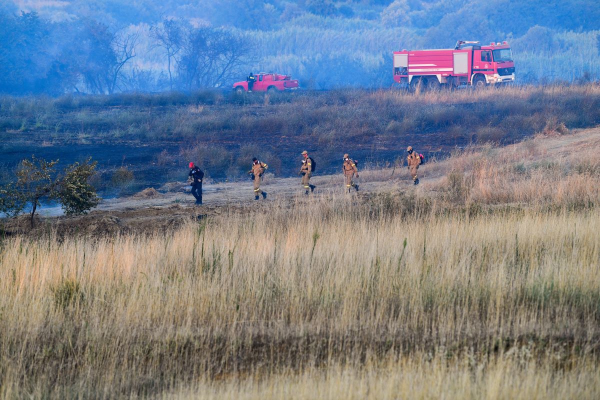 Οριοθετήθηκε η φωτιά στην Ηλεία – Τέσσερα αεροπλάνα πραγματοποίησαν ρίψεις νερού