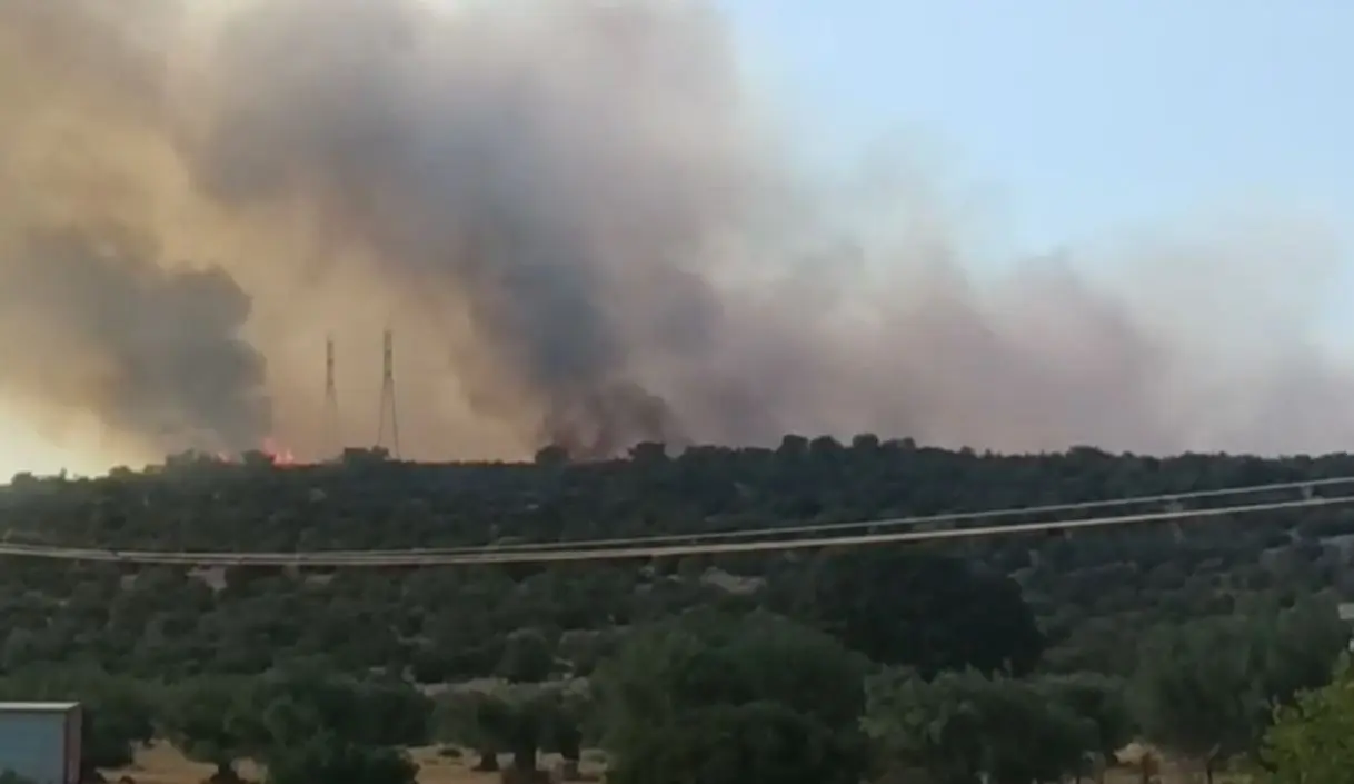 Μεγάλη φωτιά στο Μουζάκι στην Ηλεία (pic)