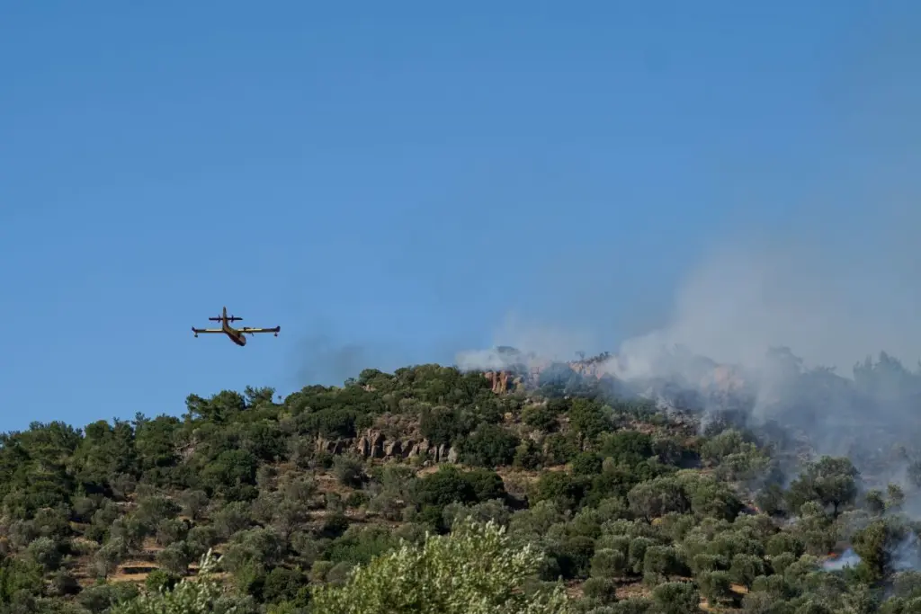 Φωτιά στα Χανιά – Μεγάλη κινητοποίηση της πυροσβεστικής