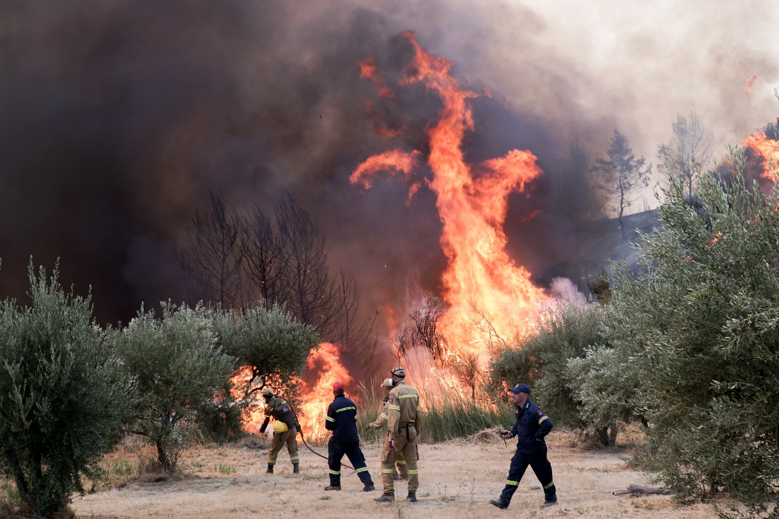 Μεγάλος ο κίνδυνος πυρκαγιάς την Παρασκευή – Συναγερμός για το φαινόμενο “Hot Dry Windy Weather”