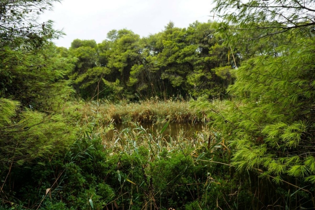 Απαγόρευση κυκλοφορίας σε περιοχές NATURA στα Χανιά για την αποφυγή πυρκαγιών