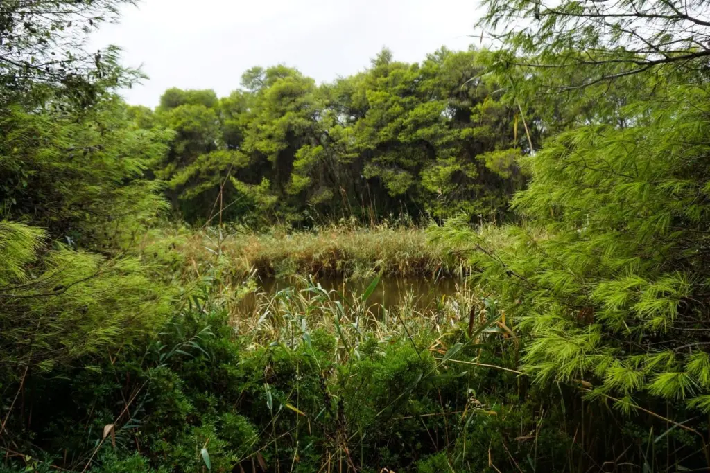 Απαγόρευση κυκλοφορίας σε περιοχές NATURA στα Χανιά για την αποφυγή πυρκαγιών