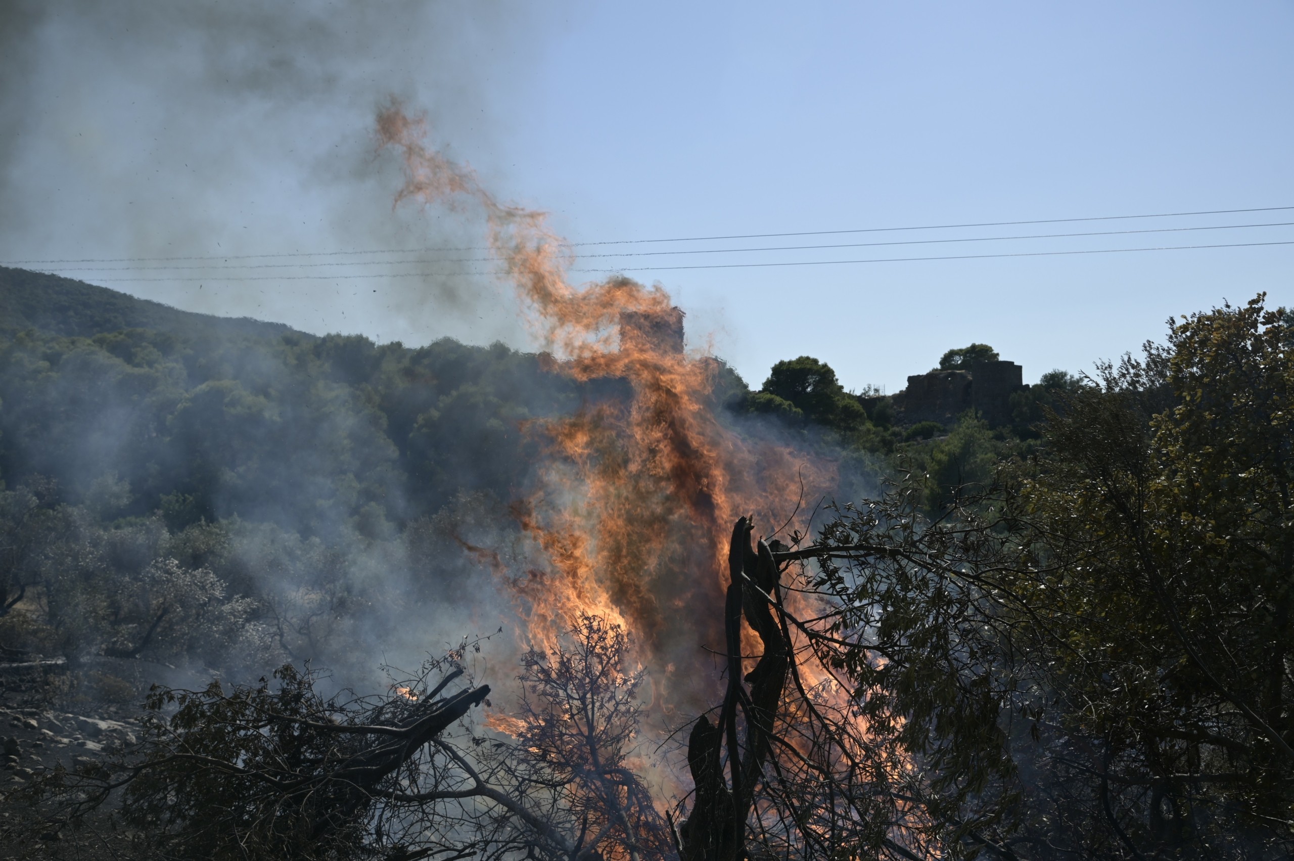 Ενισχύονται οι δυνάμεις στη φωτιά στη Λευκάδα – Η πρόσβαση στην παραλία του Πόρτο Κατσίκι έχει αποκλειστεί (pics&vids)