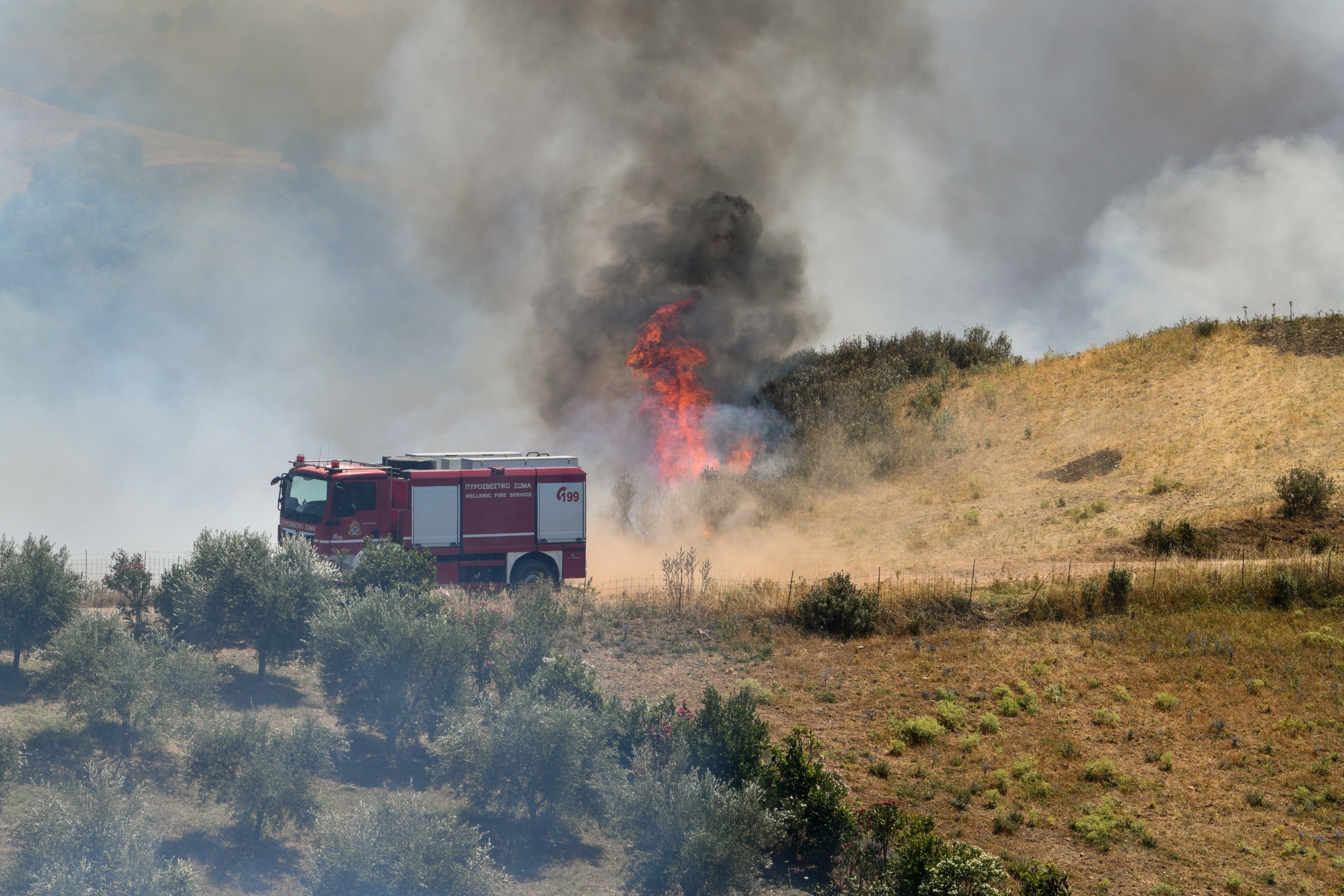 Συνεχίζει το καταστροφικό της έργο η πυρκαγιά στον Έβρο – Οι καπνοί έχουν καλύψει τα πάντα (vids)