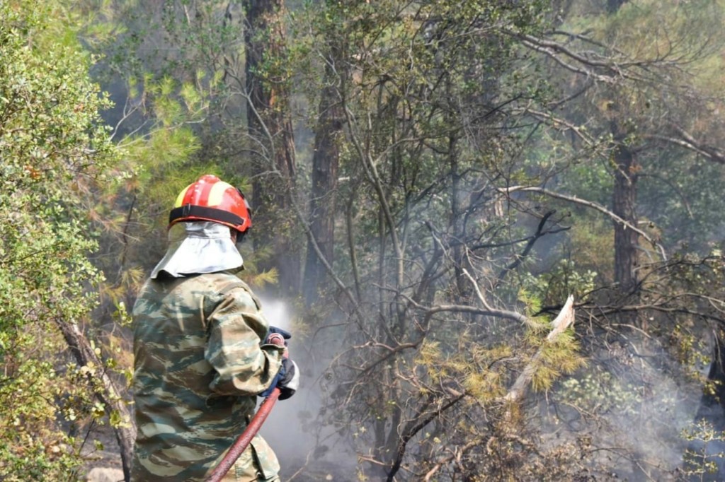 Όλεθρος και στάχτη στο δάσος της Δαδιάς – Καίγεται για 7η συνεχόμενη μέρα – Τιτάνια μάχη της πυροσβεστικής