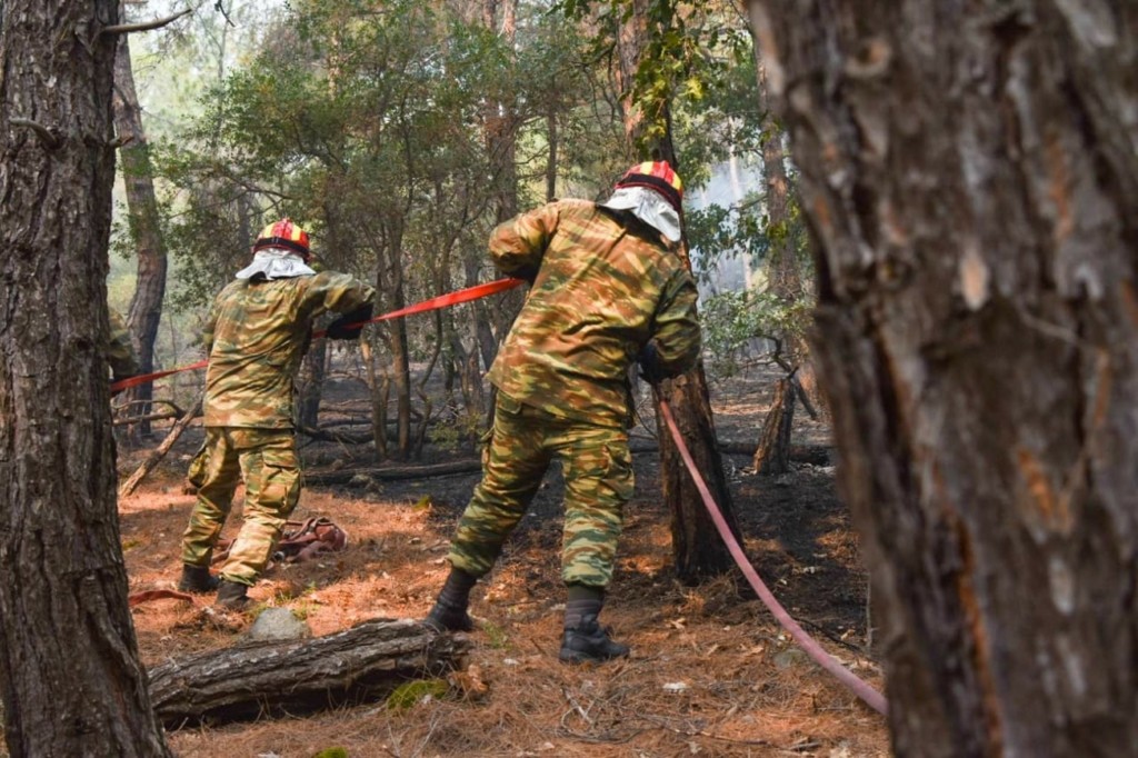 Μαίνεται για τέταρτη μέρα η τεράστια φωτιά στη Δαδιά στον Έβρο – Ανυπολόγιστες οι καταστροφές (vids)