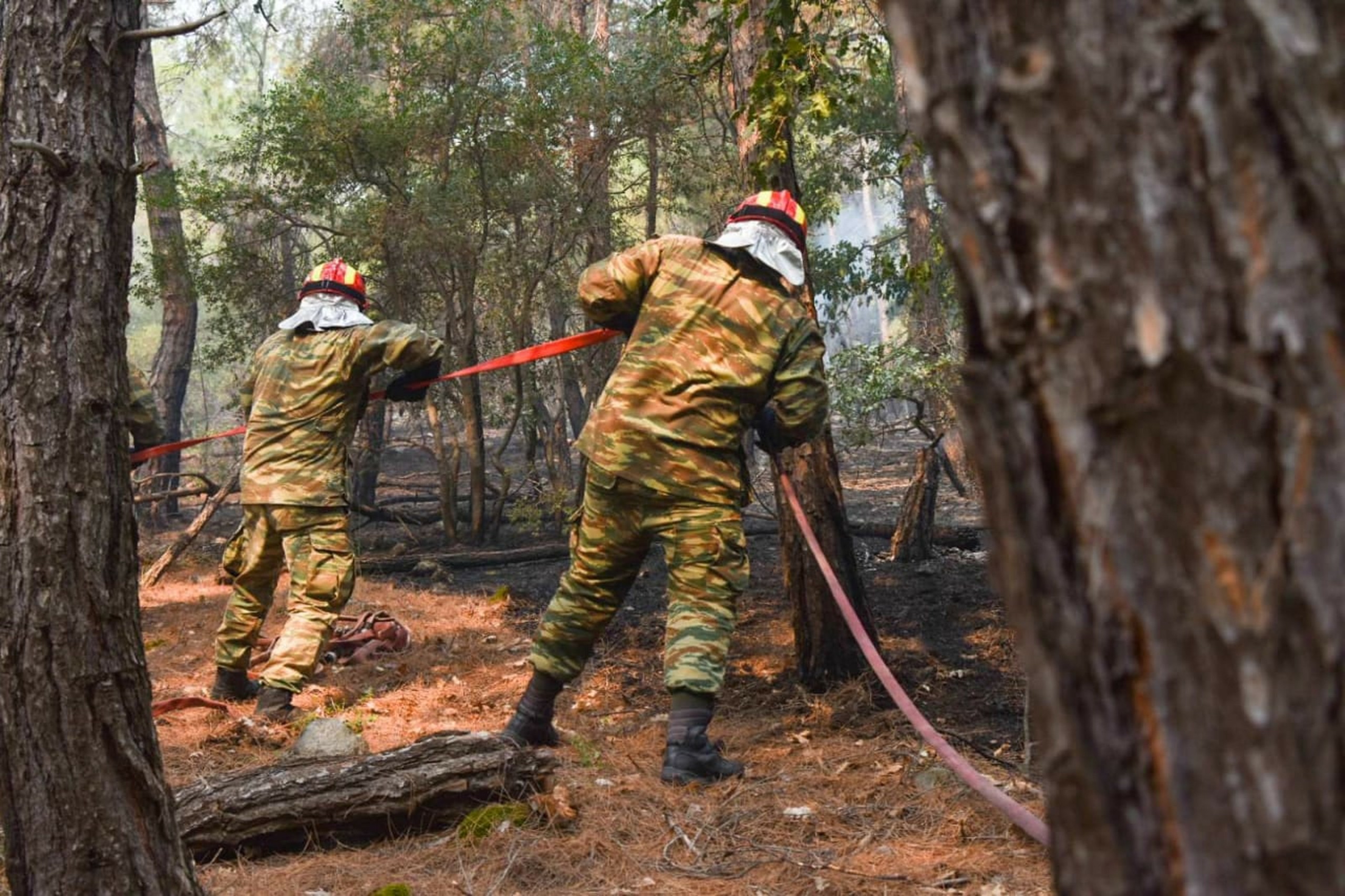 Μαίνεται για τέταρτη μέρα η τεράστια φωτιά στη Δαδιά στον Έβρο – Ανυπολόγιστες οι καταστροφές (vids)