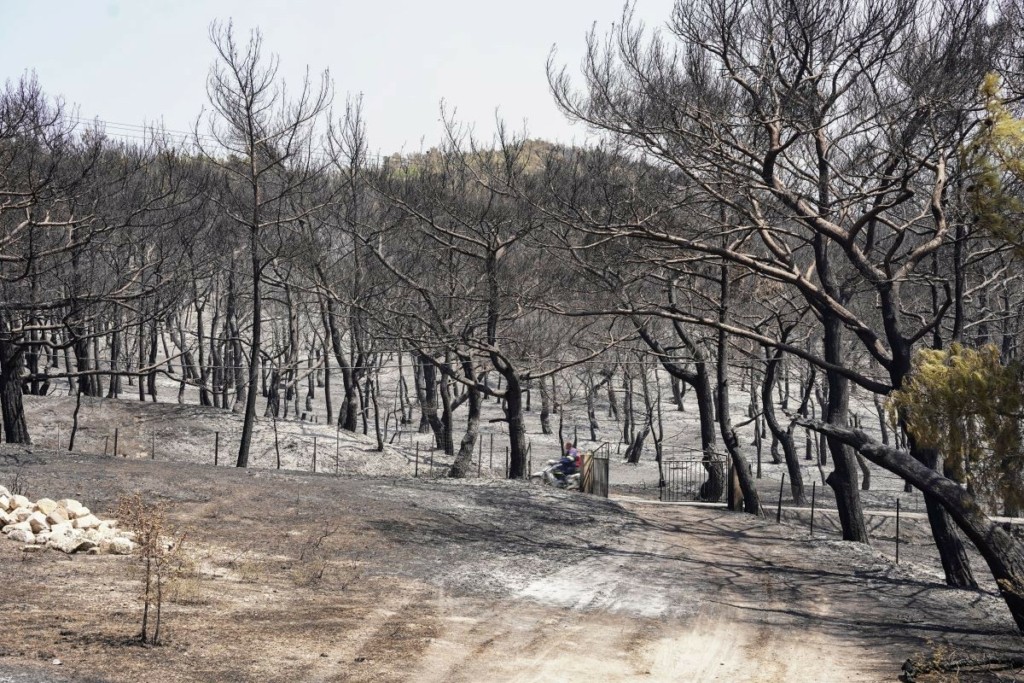 Συνεχίζεται η τιτάνια μάχη με τις φλόγες στη Δαδιά – Βελτιωμένη η κατάσταση στα υπόλοιπα μέτωπα (pics)