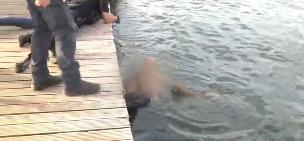 Αναστάτωση στη Θεσσαλονίκη – Έπεσε στον Θερμαϊκό με τις… χειροπέδες για να μην συλληφθεί (vid)