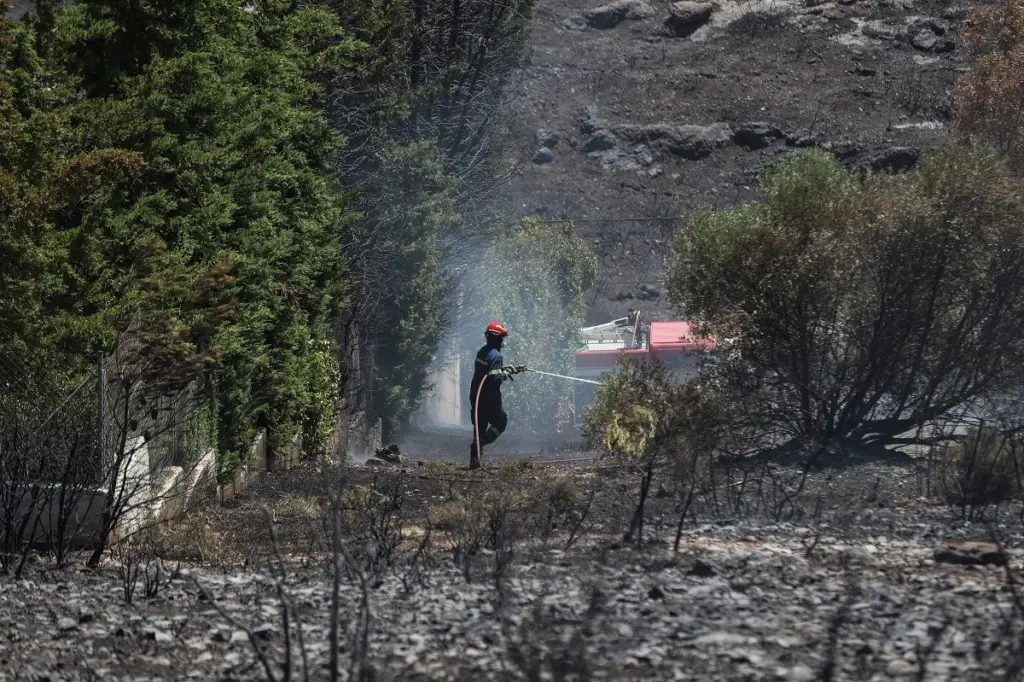 Επείγουσα εισαγγελική έρευνα για τις φωτιές σε Πεντέλη, Ντράφι, Μέγαρα και Παλλήνη