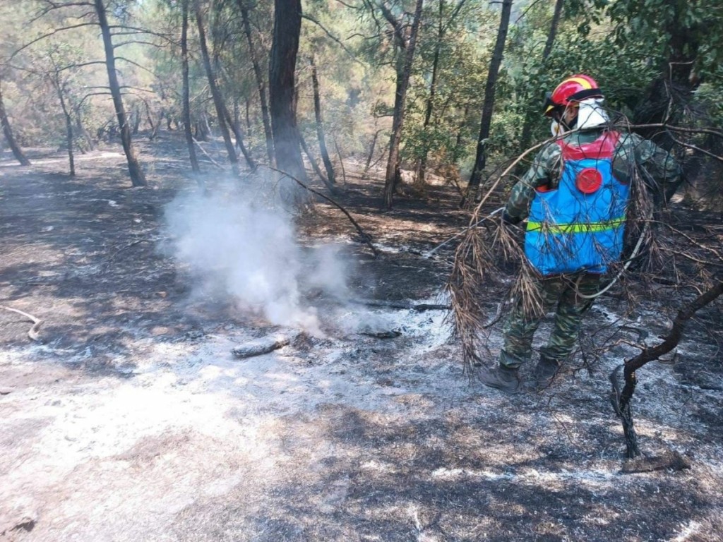 Ενισχύονται τα εναέρια στη φωτιά στο Σουφλί Έβρου – Τιτάνιες προσπάθειες να σωθεί το Εθνικό Πάρκο Δαδιάς (pics&vids)