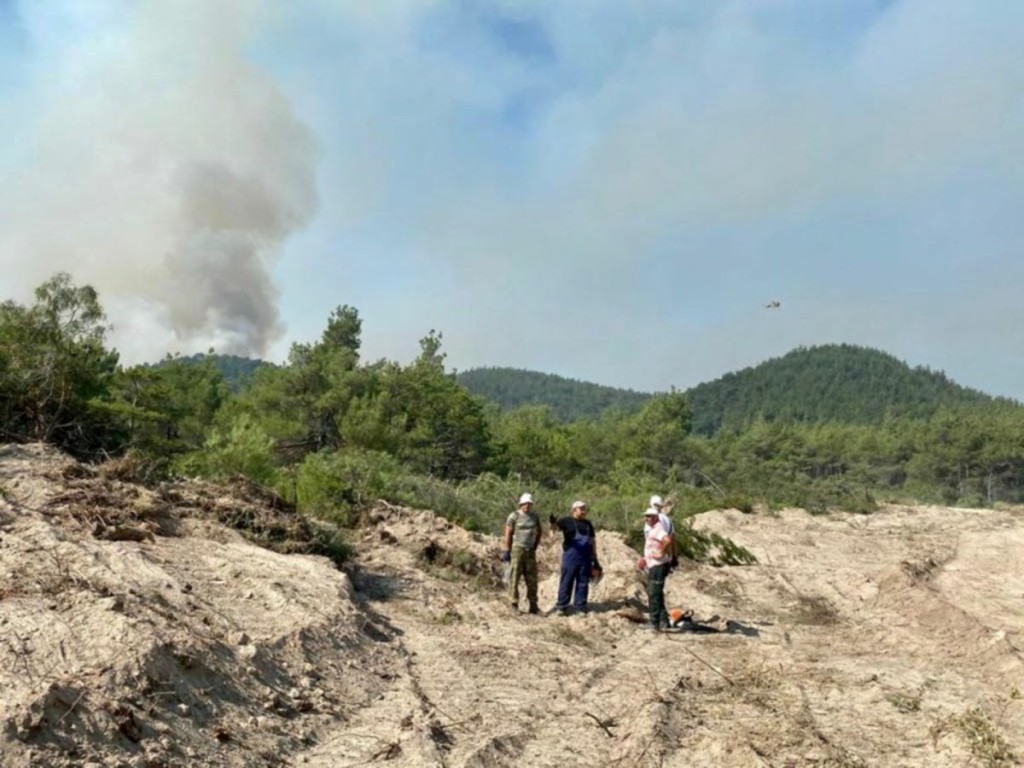 “Ρυθμιστές” οι άνεμοι για τη φωτιά στη Δαδιά – Μάχη με τις φλόγες στο νοτιοδυτικό μέτωπο (vids)