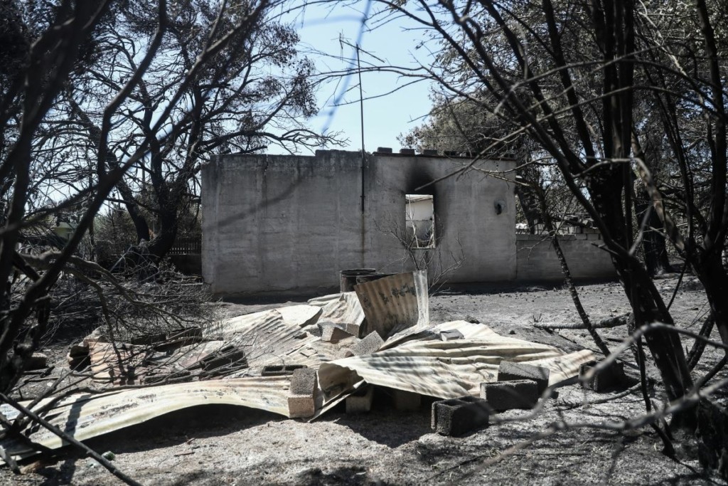 Στάχτη και όλεθρος από τις δασικές πυρκαγιές στην Ελλάδα – Αυξήθηκαν κατά 50% οι καμένες εκτάσεις!