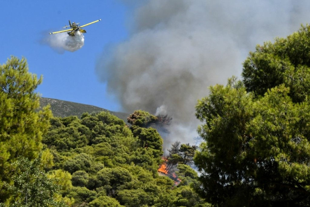 Μεγάλη φωτιά στα Μέγαρα – Μήνυμα 112 για εκκένωση οικισμού – Επιχειρούν και εναέρια μέσα