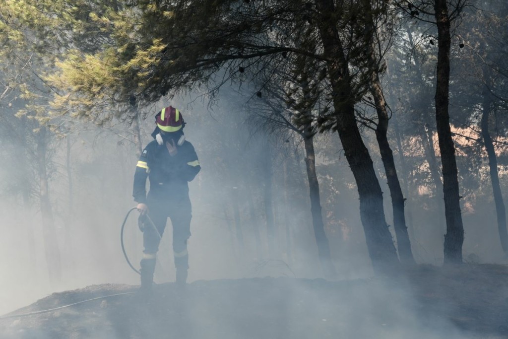 Καλύτερη η εικόνα της φωτιάς στην Ηλεία – Μάχη σε τρία μέτωπα δίνουν οι πυροσβέστες (pics&vids)