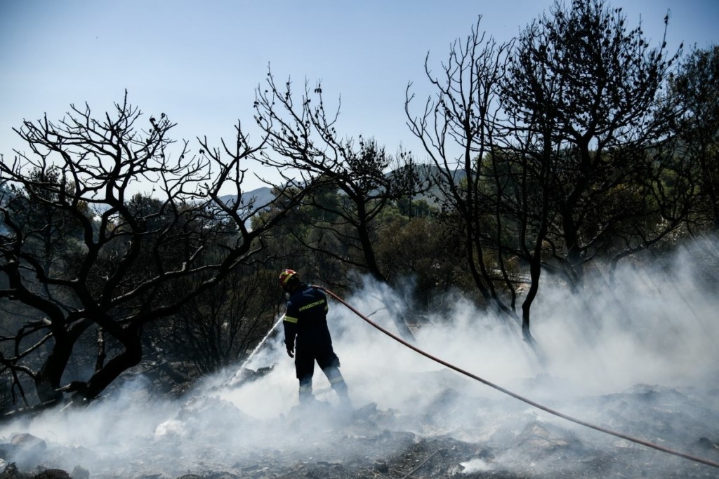 Φωτιά στον Βέλο Κορινθίας – Κινητοποιήθηκαν επίγεια και εναέρια μέσα (pics)