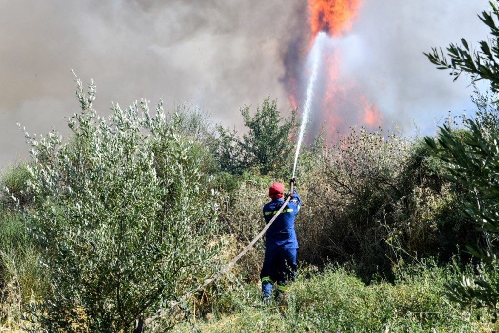 Φωτιά κοντά σε μεγάλο ξενοδοχείο στη Ζάκυνθο – Στο σημείο ισχυρές δυνάμεις της πυροσβεστικής (pic)