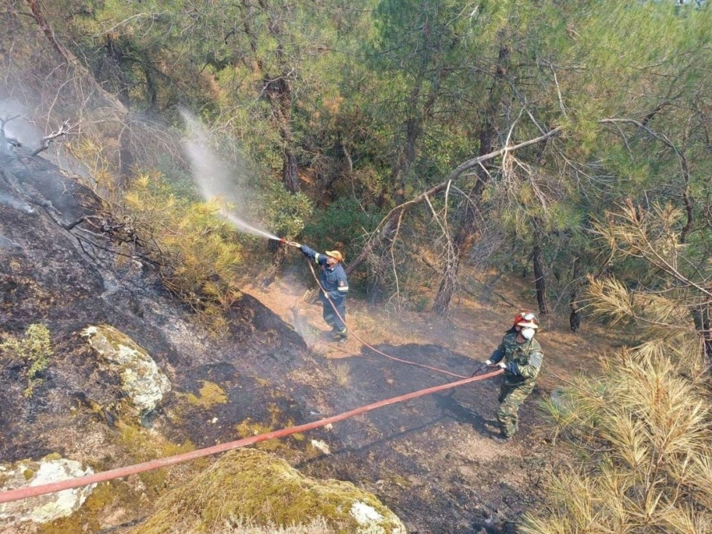 Τεράστια οικολογική καταστροφή στο Πάρκο της Δαδιάς – Στις φλόγες το 50% του μεγάλου πυρήνα (pics&vids)