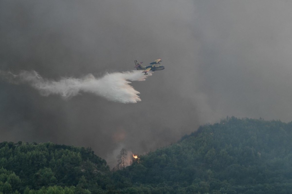 Τιτάνια μάχη με το χρόνο δίνουν οι πυροσβέστες στην Ηλεία – Προσπάθεια να ελεγχθεί η φωτιά πριν ενισχυθούν οι άνεμοι