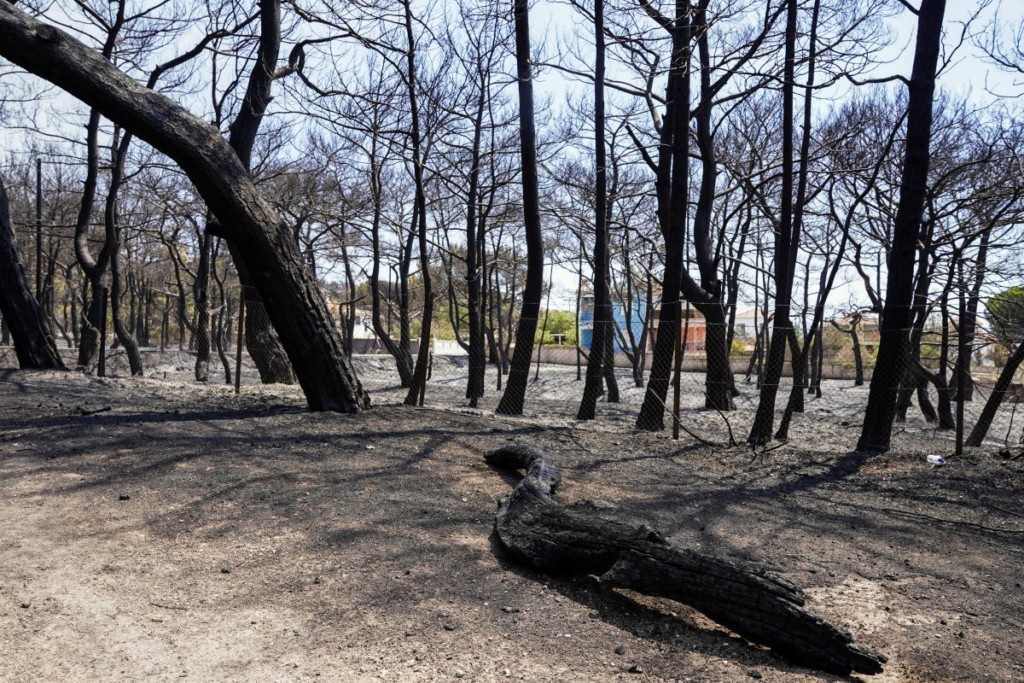 Μαίνεται το πύρινο μέτωπο στη Λέσβο – Μάχη με τις αναζωπυρώσεις και τους ισχυρούς ανέμους (vids)