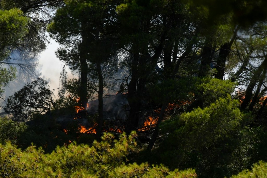 Μάχη με τις αναζωπυρώσεις στην Καλλιθέα Πατρών – Συνελήφθη ύποπτος για εμπρησμό