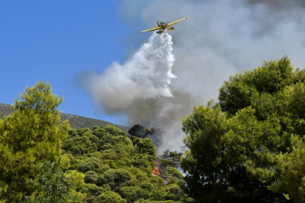 Συνελήφθη ένας άνδρας για τη φωτιά στην Καλλιθέα Πατρών – Κατηγορείται για εμπρησμό