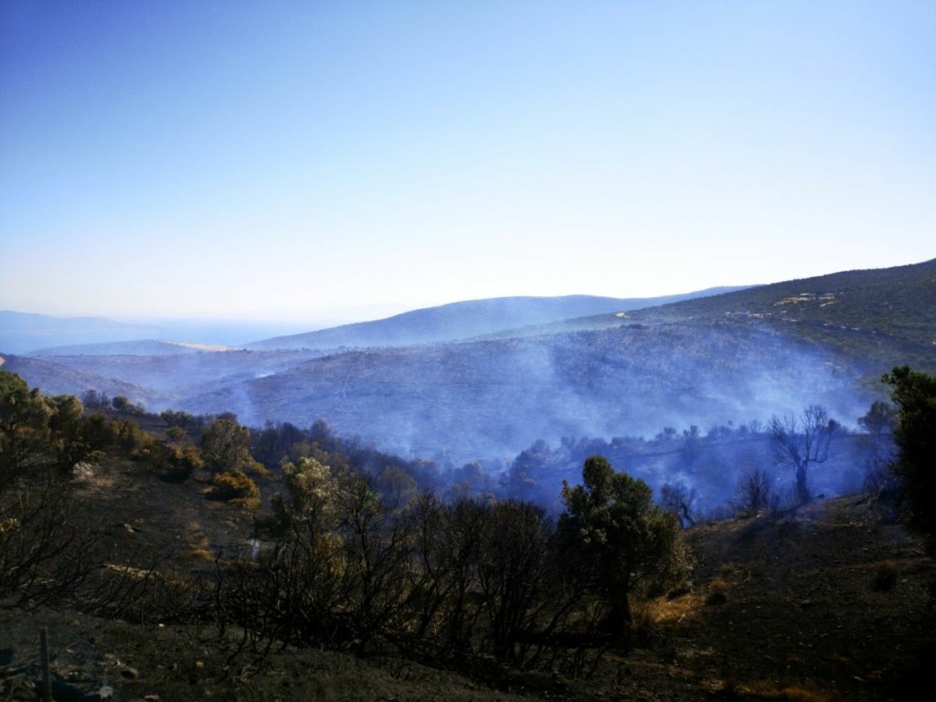 Τραυματίστηκε στο κεφάλι πυροσβέστης στη φωτιά στην Κάρυστο – Σε ύφεση το πύρινο μέτωπο