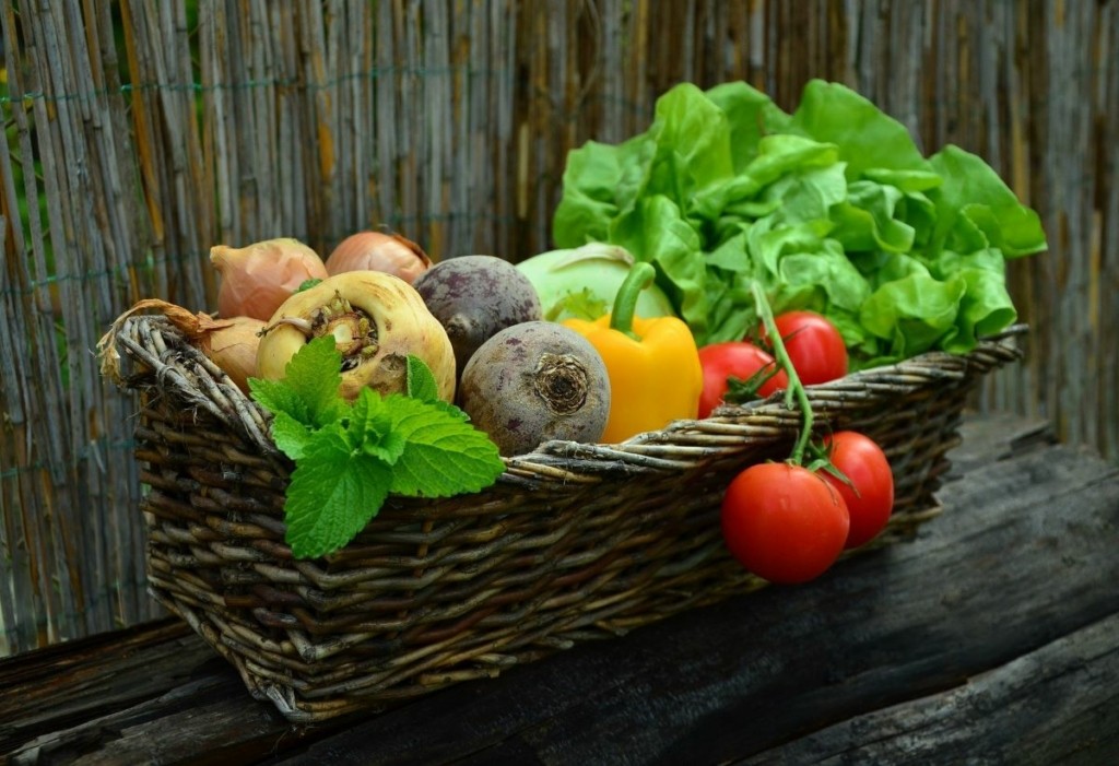 Αδιανόητη φρίκη – Παιδάκι πέθανε επειδή η vegan μητέρα του το έτρεφε μόνο με ωμά φρούτα και λαχανικά