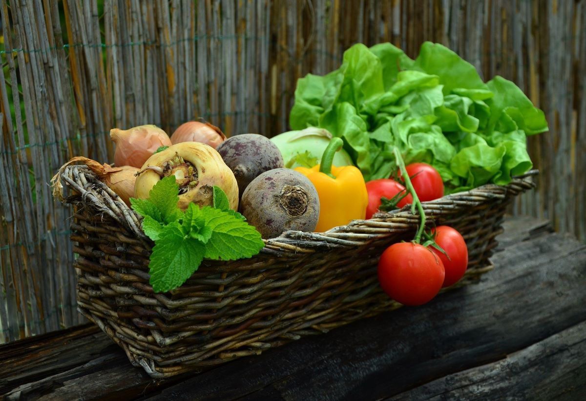Αδιανόητη φρίκη – Παιδάκι πέθανε επειδή η vegan μητέρα του το έτρεφε μόνο με ωμά φρούτα και λαχανικά