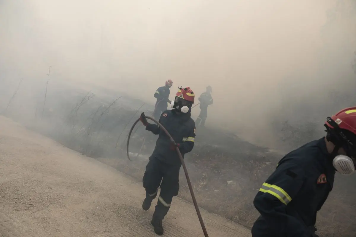 Φωτιά στη Λιόφυτη Σπάτων – Κινητοποίηση της πυροσβεστικής