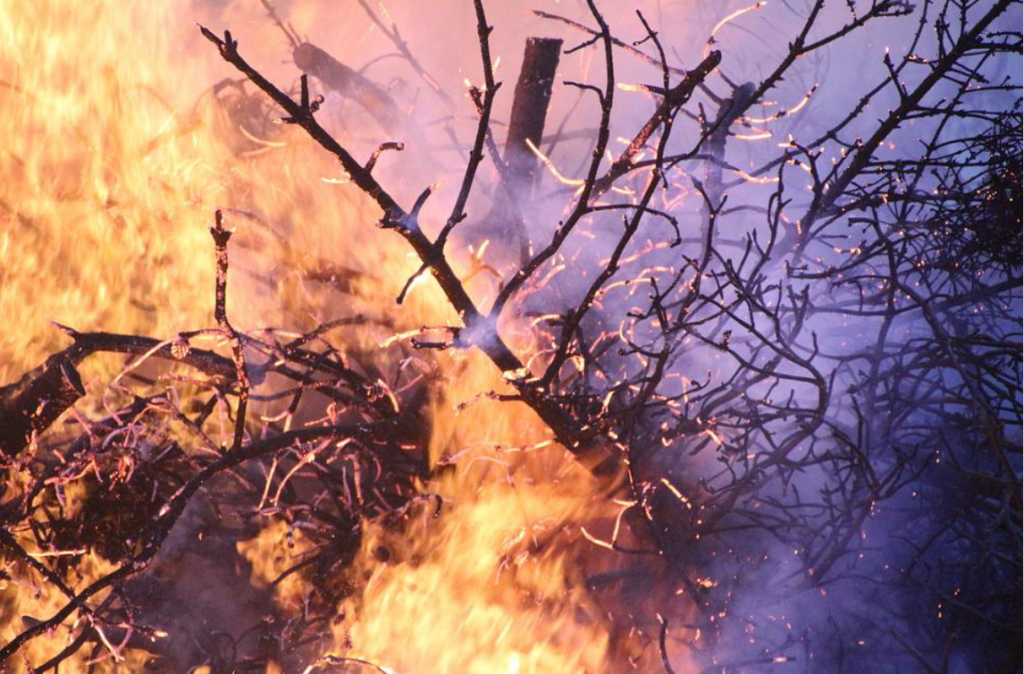 Πυροσβεστική: 45 αγροτοδασικές πυρκαγιές εκδηλώθηκαν το τελευταίο 24ωρο