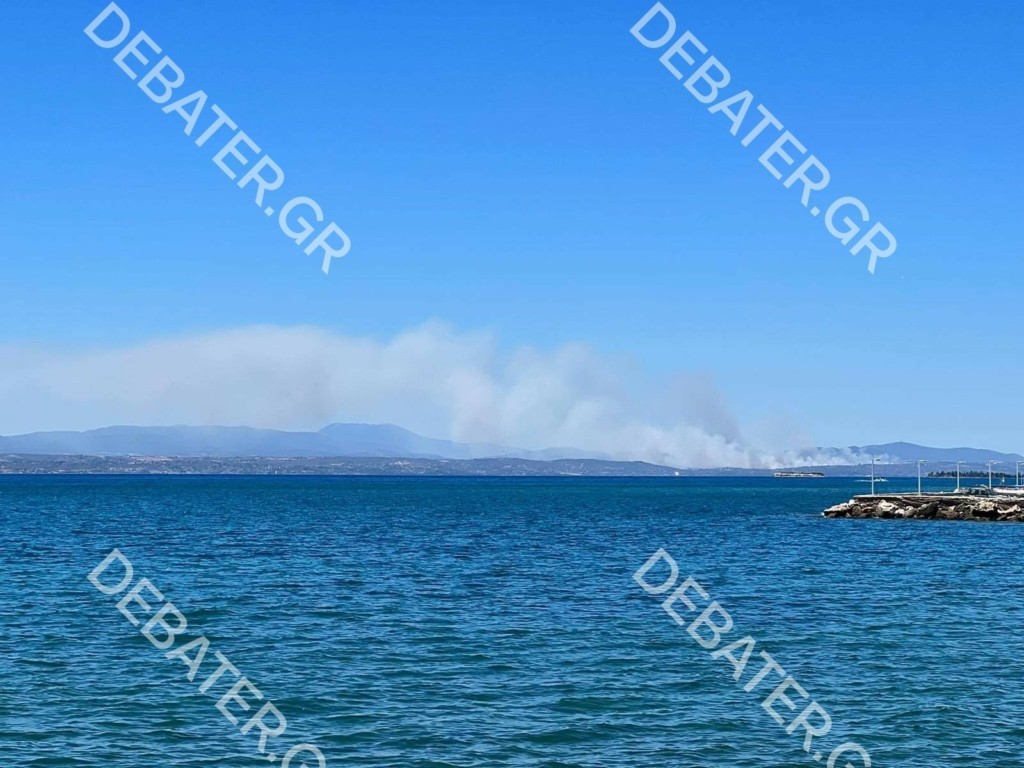 Mεγάλη φωτιά στο Σχηματάρι Βοιωτίας – Εκκενώνεται το Δήλεσι και η Βρυσούλα – “Κινείται σαν ανεμοστρόβιλος” (vids)