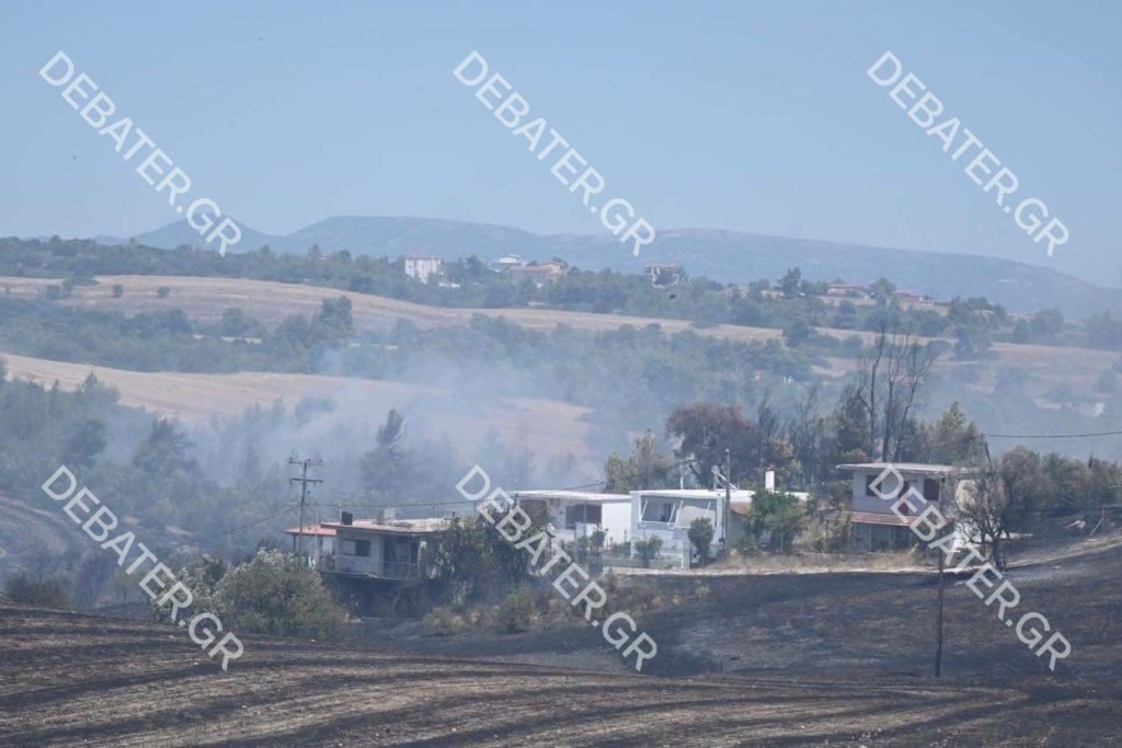 Κάηκαν τέσσερα σπίτια από τη μεγάλη φωτιά στη Βοιωτία – Τιτάνια μάχη της Πυροσβεστικής (vids)
